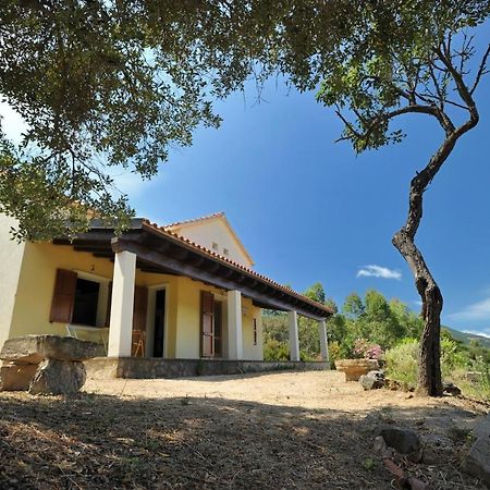 Lierus B&B Gonnosfanàdiga Exterior foto